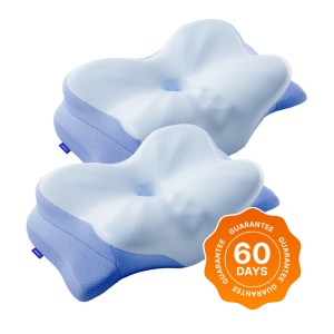 Derila Ergo Memory Foam Pillow