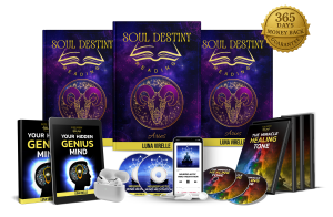 2026 - Soul Destiny Reading